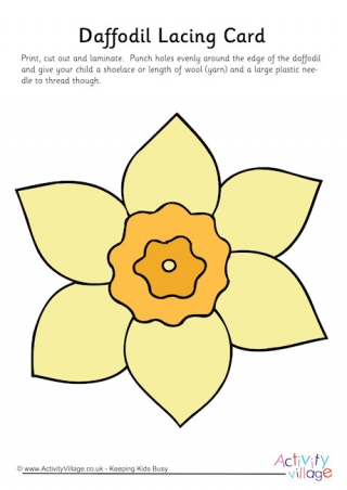 Daffodil Drawing Handdrawn Stock Illustrations – 141 Daffodil Drawing  Handdrawn Stock Illustrations, Vectors & Clipart - Dreamstime