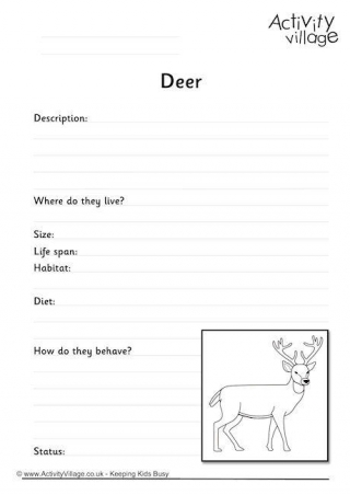 Animal Fact Finding Worksheets