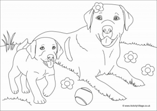 Download Dog Colouring Pages