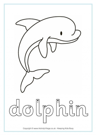 Dusky Dolphin Facts, Worksheets For Kids