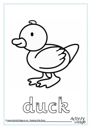 Duck Word Tracing