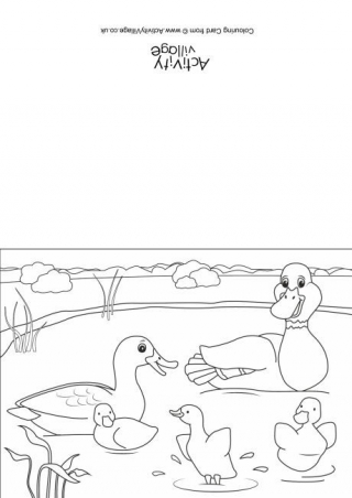 Download Spring Pond Colouring Page