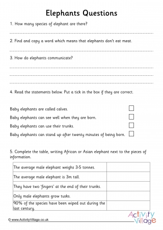 Elephant Comprehension Questions