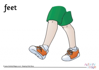 Feet Poster