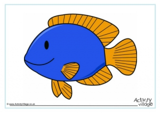 Fish Poster 1