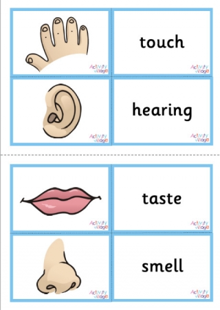 Five Senses Word Mats