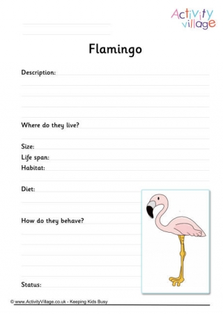 Flamingo Worksheet