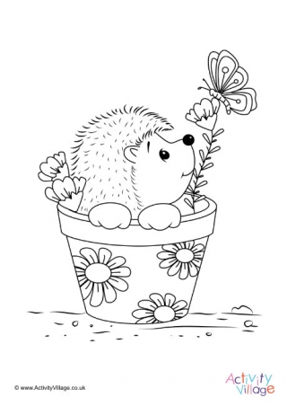 baby hedgehog coloring pages