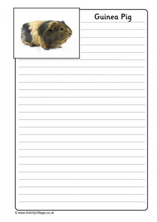 Guinea Pig Worksheets