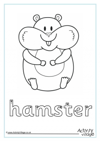 Hamster Finger Tracing