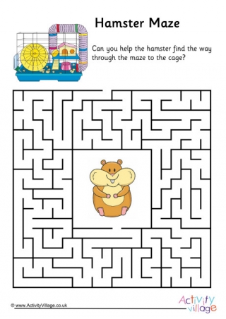 funny hamster maze