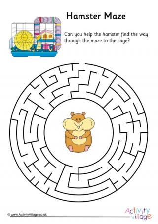 syrian hamster maze