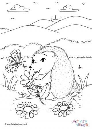 hedgehog colouring pages