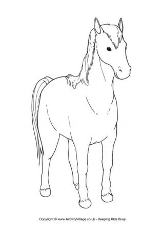 Horse colouring page 3