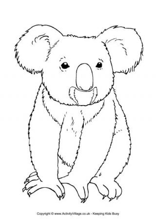 Australian Animal Colouring Pages