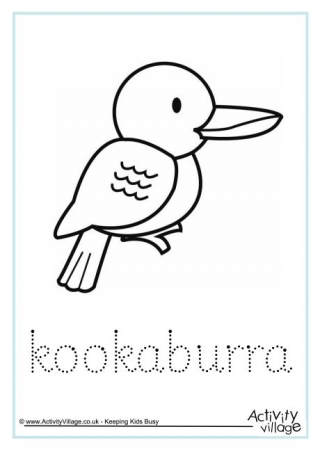 Kookaburras