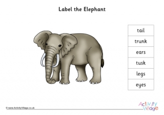 Elephant Venn Diagram