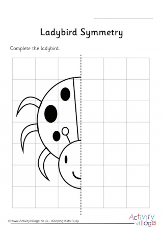 worksheet ladybird blank Minibeast Symmetry Worksheets