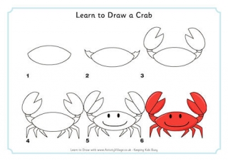 how to draw sea animals