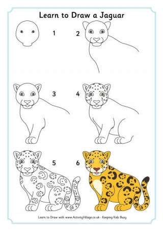 cheetah print drawing steps