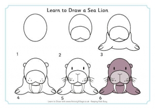Learn to Draw a Sea Lion