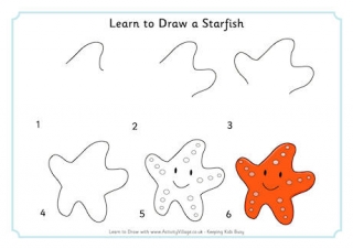 Learn to Draw a Starfish