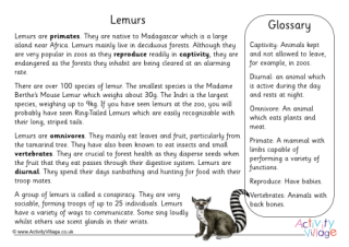 Lemur Fact Sheet