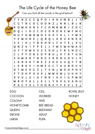 Life cycle of a honey bee word search