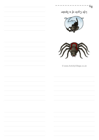 Life Cycle Of A Spider Booklet