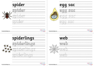 Life Cycle Of A Spider Handwriting Worksheets