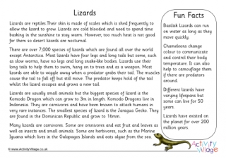Lizard Fact Sheet