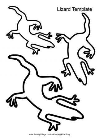 Lizard Template 
