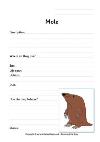 Mole Worksheets