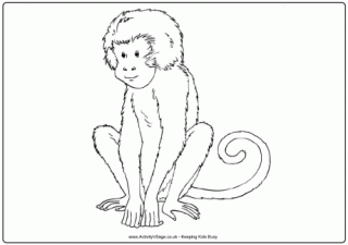 Monkey Colouring Page