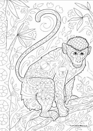 Monkey Doodle Colouring Page
