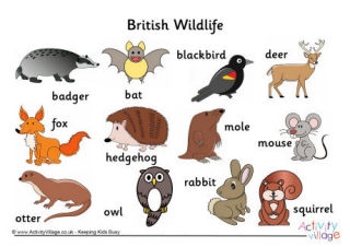 More Animal Printables