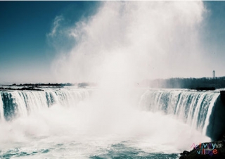 Niagara Falls Poster