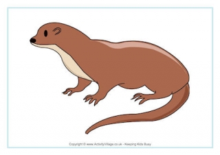 Otter Poster