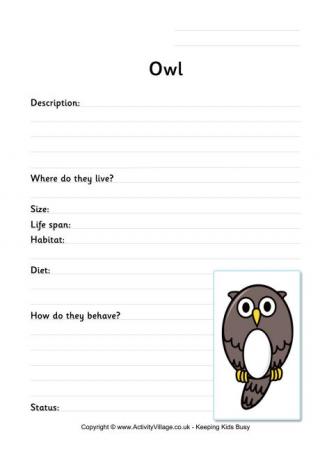 Owl Worksheet