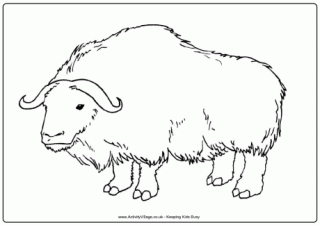 Download Ox Colouring Page