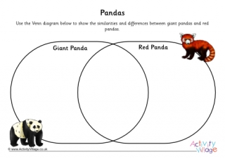 Panda Worksheet