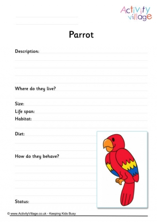 Bird Fact Finding Worksheets