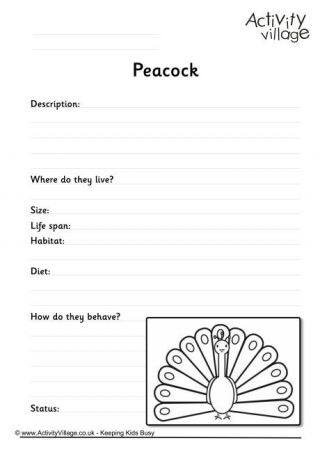 Peacock Worksheet