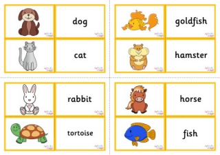 Vocabulary Matching Cards