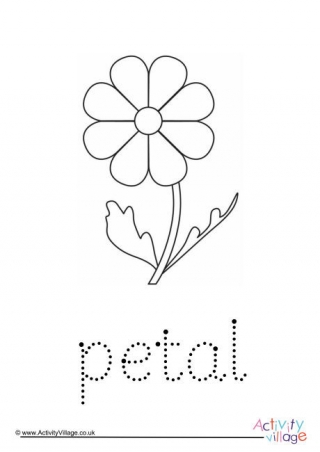 another word for petal