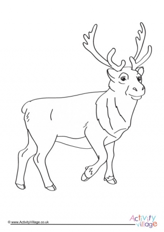 Reindeer Colouring Page 6