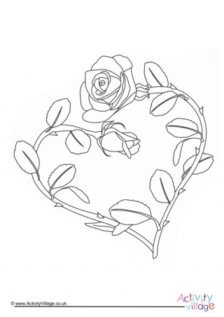 Rose Colouring Page 3