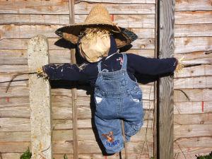 Make A Scarecrow