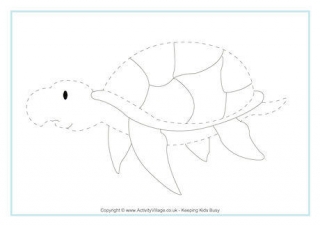 Sea Turtle Tracing Page