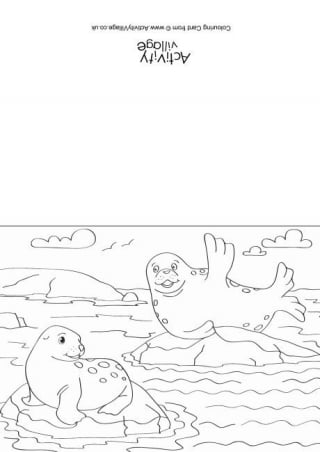 Seals Scene Colouring Card